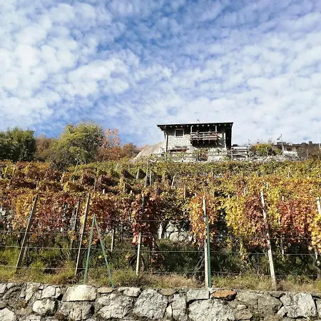 Holiday home Rustico Vigna *
