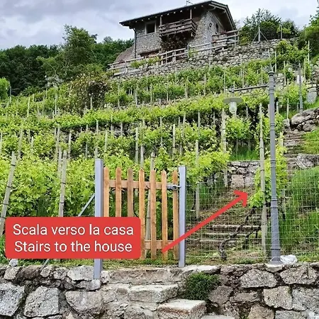 Holiday home Rustico Vigna Civo