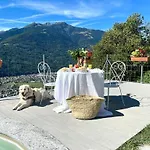 Rustico Vigna Civo