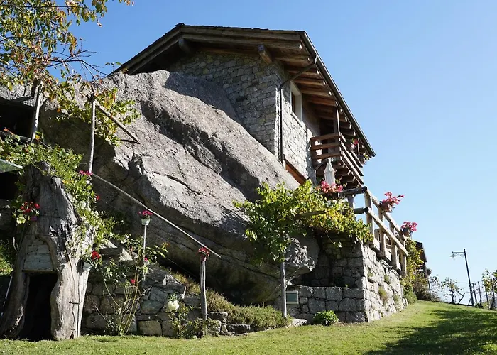 Rustico Vigna *